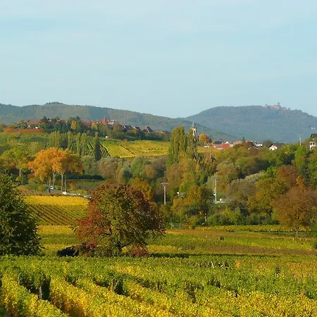 Bed & Breakfast Le Gm D'hotes De Charme En Alsace *