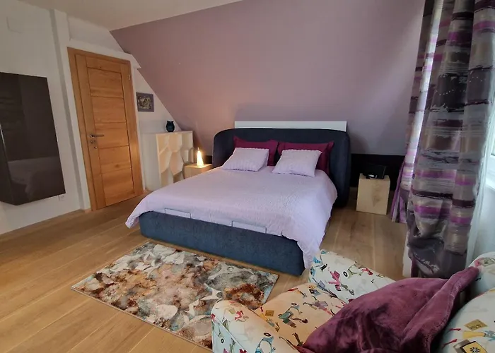 Le Gm D'hotes De Charme En Alsace Panzió